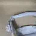 Шторка безопасности Toyota Camry 70 Шторка безопасности Toyota Camry 70